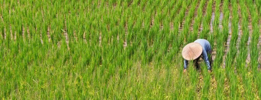 Southeast Asia equities: Wachstumspotenziale in einer dynamischen Region nutzen