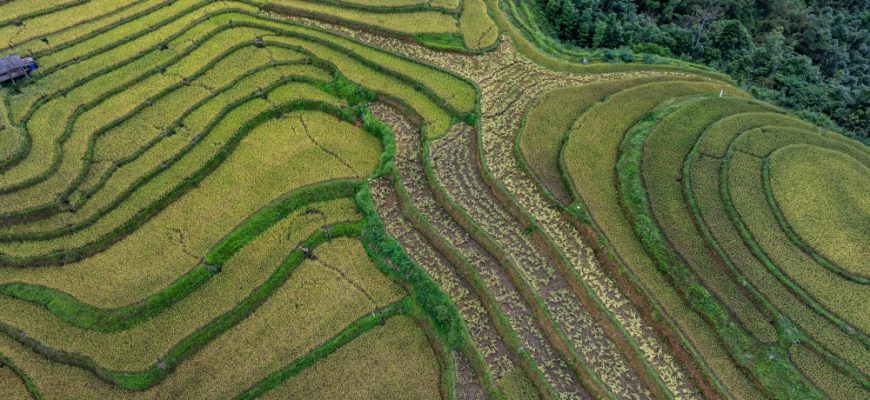 Vietnamesisches Publikumskapital: Strategischer Zugang zum Wachstum Südostasiens