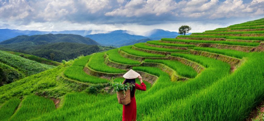 Vietnam 2025: Attraktiv für Fonds