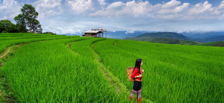 Bester Vietnam Fonds: Leitfaden für Investoren 2025