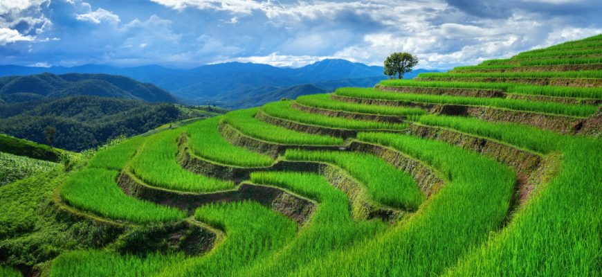 Vietnam: Wachstum, Wandel und die Rolle aktiver Aktienfonds