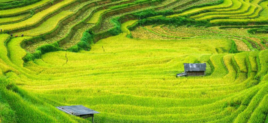 Top Vietnam-Aktien zum Kauf 2025: Langfristige Chancen in einem aufstrebenden Markt