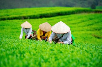 Aktive Fonds Vietnam: Wachstumschancen jenseits des Index nutzen