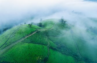 Investitionen im vietnamesischen Verbrauchersektor: Wachstumschancen durch eine aufstrebende Mittelschicht