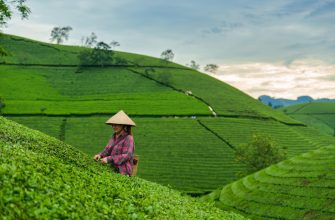 Vietnam Aktienfonds: Strategischer Zugang zu einer wachstumsstarken Volkswirtschaft