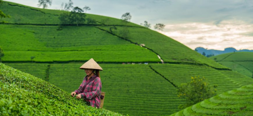 Vietnam Aktienfonds: Strategischer Zugang zu einer wachstumsstarken Volkswirtschaft