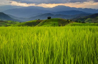 Emerging Markets Asien investieren: Chancen und Trends 2025