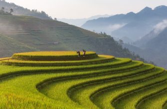 Wirtschaftsausblick Vietnam 2025: Stabilität, Reformkraft und regionale Führungsrolle