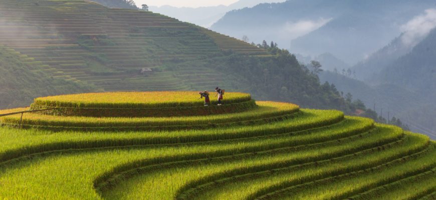 Wirtschaftsausblick Vietnam 2025: Stabilität, Reformkraft und regionale Führungsrolle