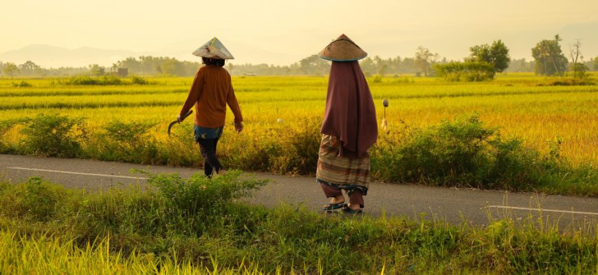 Strategisches Wachstum mit einem Vietnam Aktienfonds