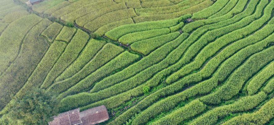 Top-Aktienauswahl am vietnamesischen Aktienmarkt 2025: Strategische Marktführer in einer sich wandelnden Wirtschaft