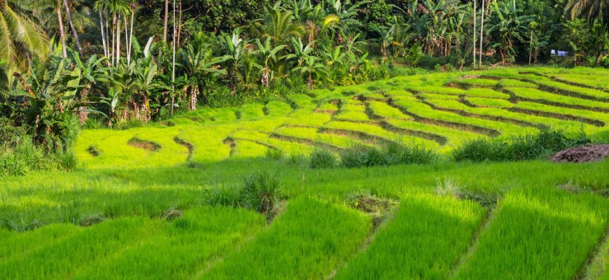 Warum ein vietnamesischer Aktienfonds für langfristige Investoren sinnvoll ist