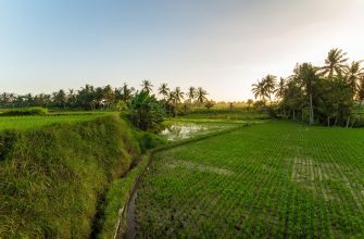 Am besten performende Vietnam-Aktien 2025: Führende Titel bei Wachstum, Rendite und Widerstandsfähigkeit
