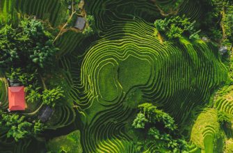 Invest in Vietnam stock market: Chancen in einem dynamischen Frontier-Markt