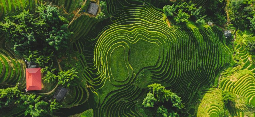 Invest in Vietnam stock market: Chancen in einem dynamischen Frontier-Markt
