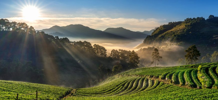 Vietnam on the Rise: Why the Lumen Fund Stands Out Now