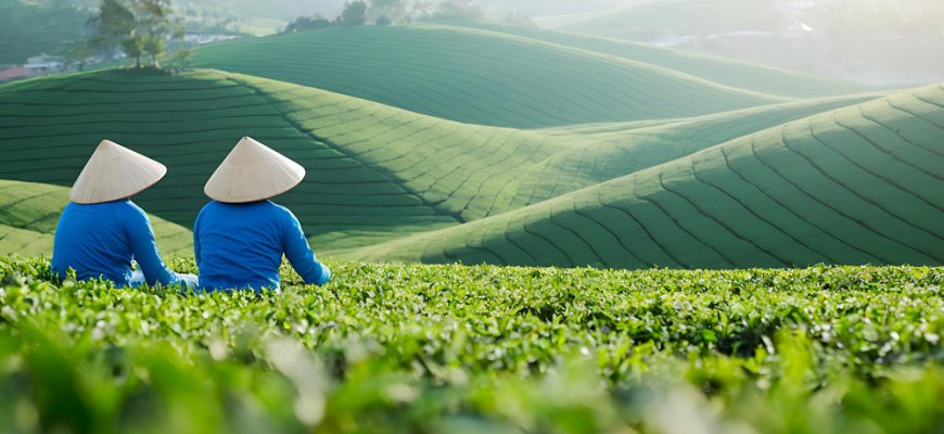 Best Vietnam equity funds 2025: Führende Strategien für Wachstum in Frontier-Märkten
