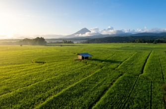 Aktienfond Vietnam: Lokales Wissen trifft globale Investmentstrategie