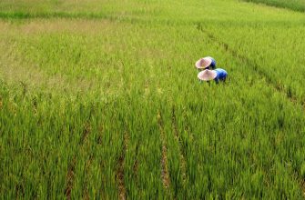 Vietnam Investmentfonds: Frontier-Potenzial durch lokale Expertise erschließen