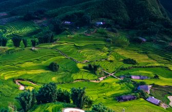 Vietnam Fonds: New Opportunities in a Dynamic Market Environment